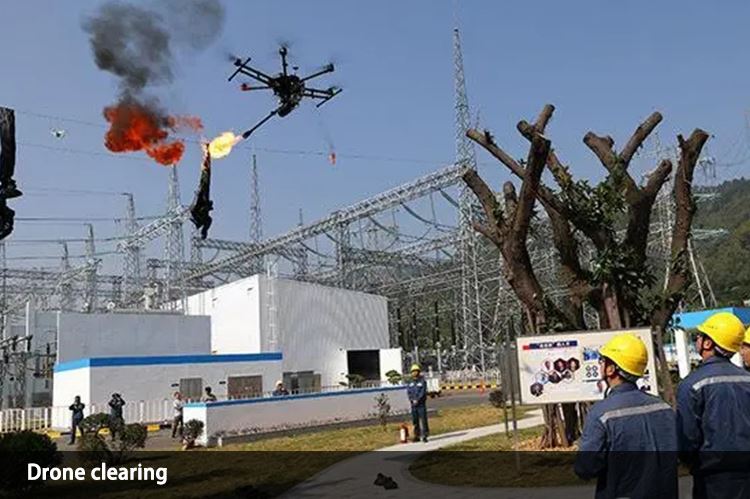 Drone clearing